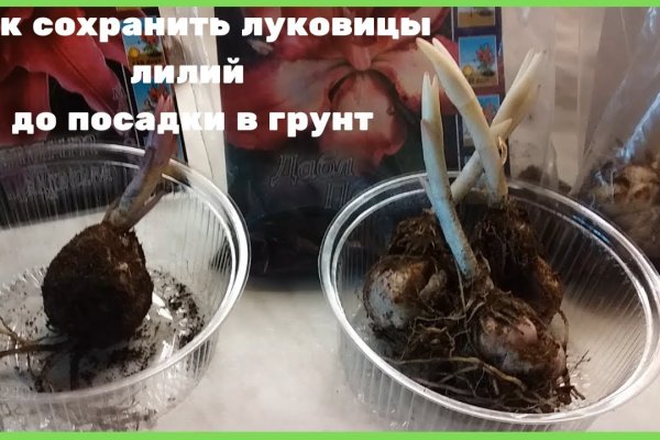 Впн для кракена