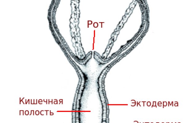 Кракен даркнет вход